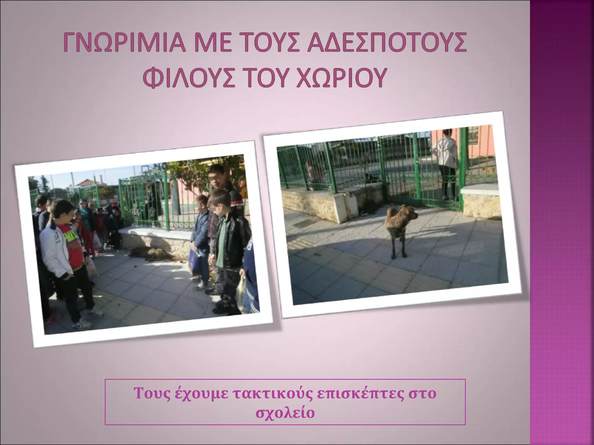 Τους έχουμε τακτικούς επισκέπτες στο
σχολείο
 