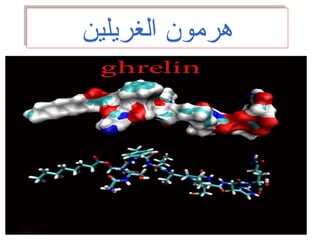 ‫الغريلين‬ ‫هرمون‬‫الغريلين‬ ‫هرمون‬
 