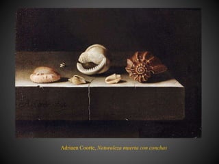 Adriaen Coorte, Naturaleza muerta con conchas
 