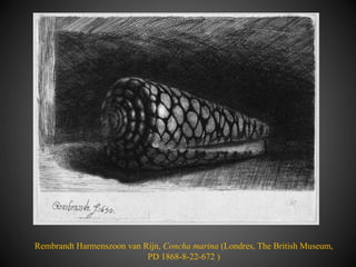 Rembrandt Harmenszoon van Rijn, Concha marina (Londres, The British Museum,
PD 1868-8-22-672 )
 