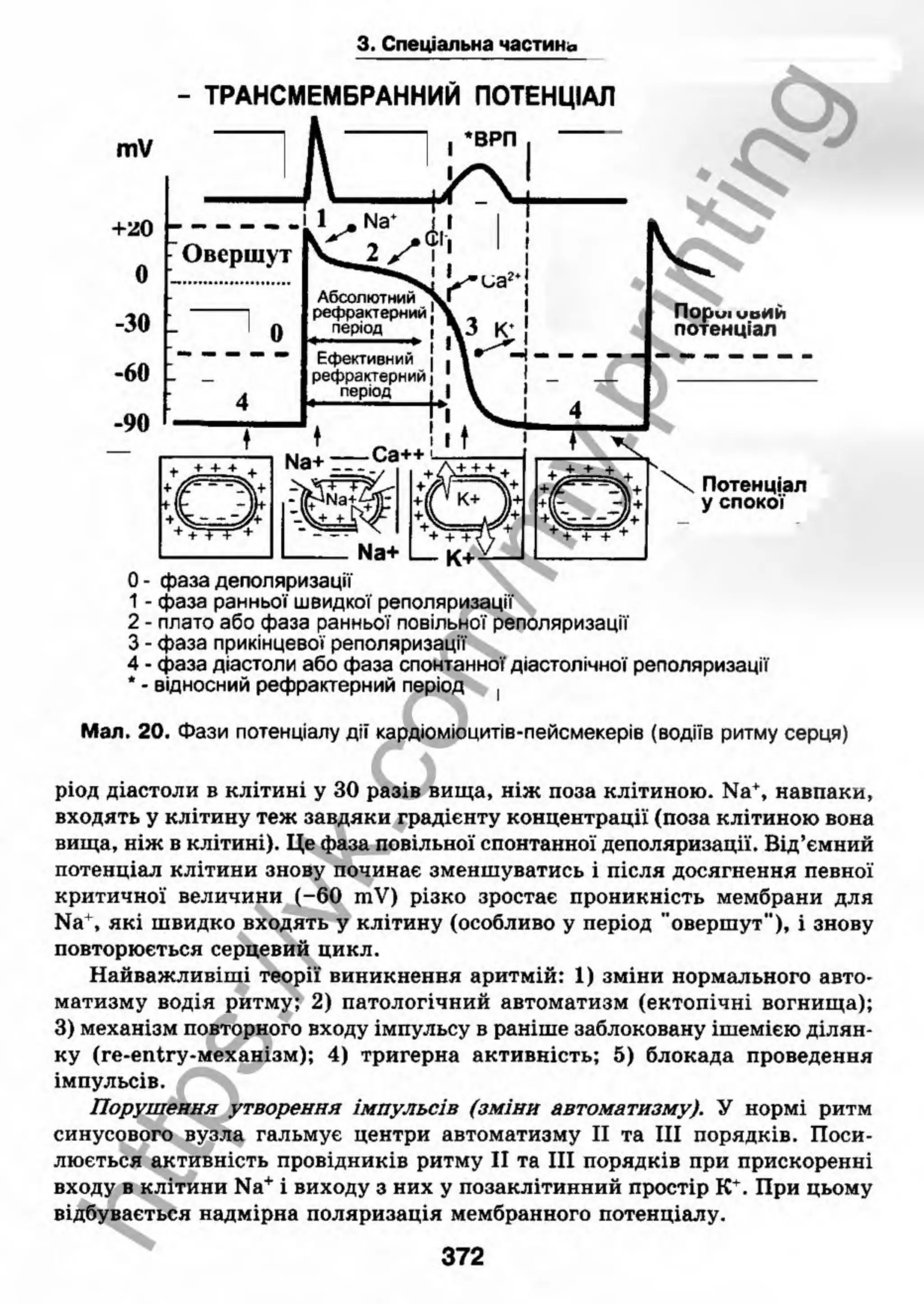 внутрішня медицина, терапія  н. м. середюк, о. с. стасишин, і. п. вакалюк –  медици, 2013. – 686 http://vk.com/my.printing