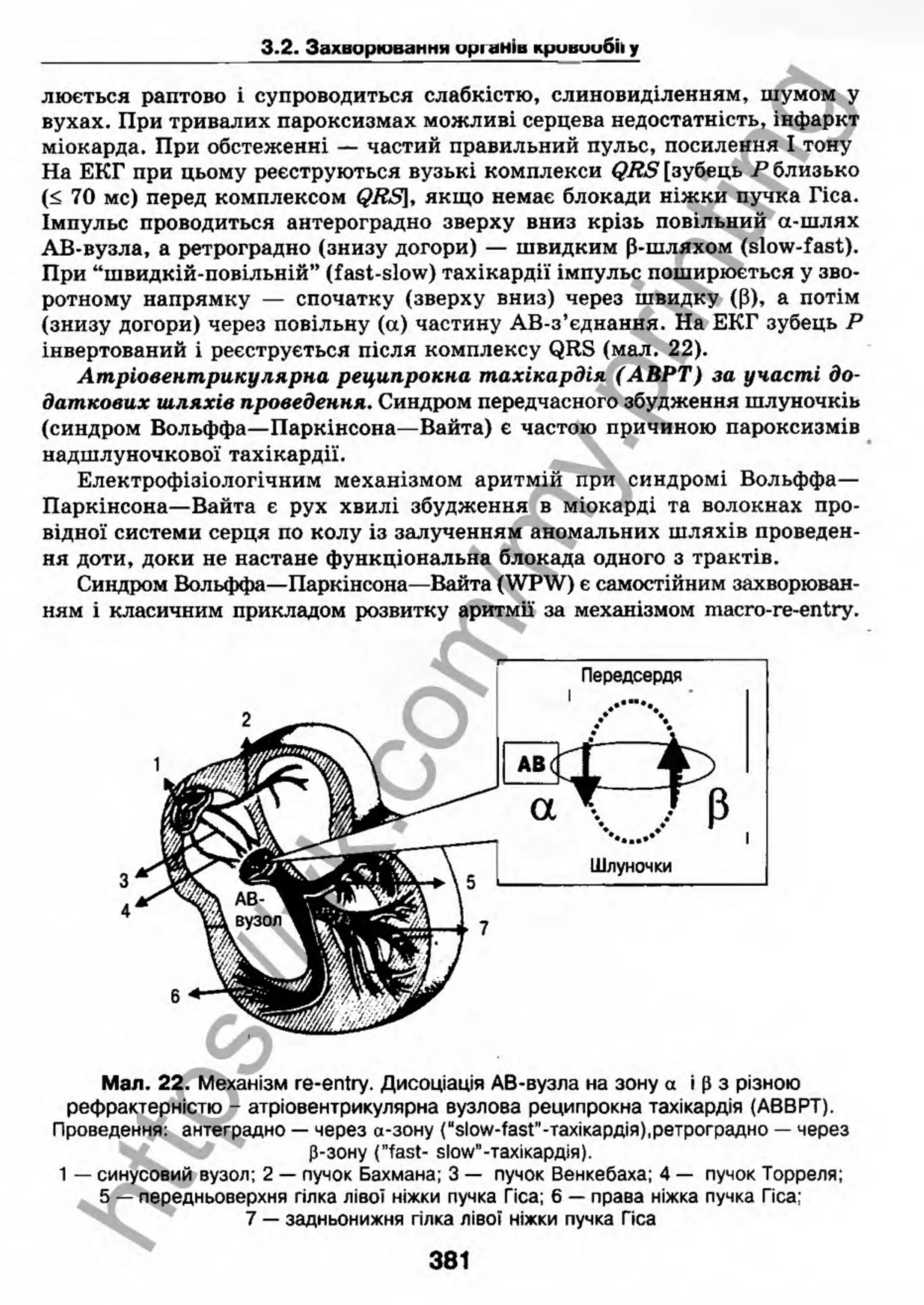 внутрішня медицина, терапія  н. м. середюк, о. с. стасишин, і. п. вакалюк –  медици, 2013. – 686 http://vk.com/my.printing