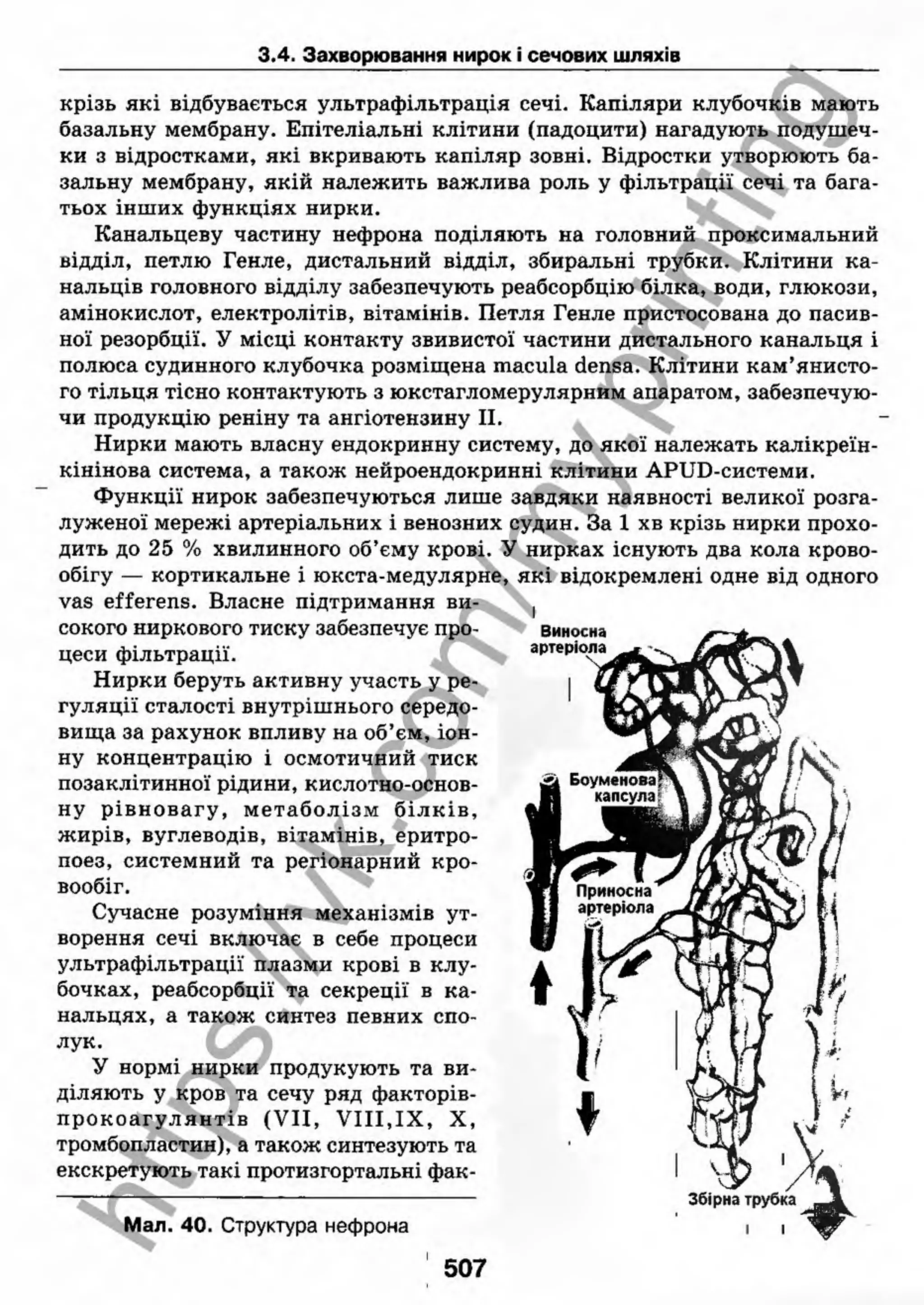 внутрішня медицина, терапія  н. м. середюк, о. с. стасишин, і. п. вакалюк –  медици, 2013. – 686 http://vk.com/my.printing