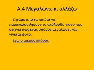 Α.4 Μεγαλώνω κι αλλάζω
Ζητάμε από τα παιδιά να
παρακολουθήσουν το ακόλουθο video που
δείχνει πώς ένας σπόρος μεγαλώνει και
γίνεται φυτό.
Εγώ ο μικρός σπόρος
 