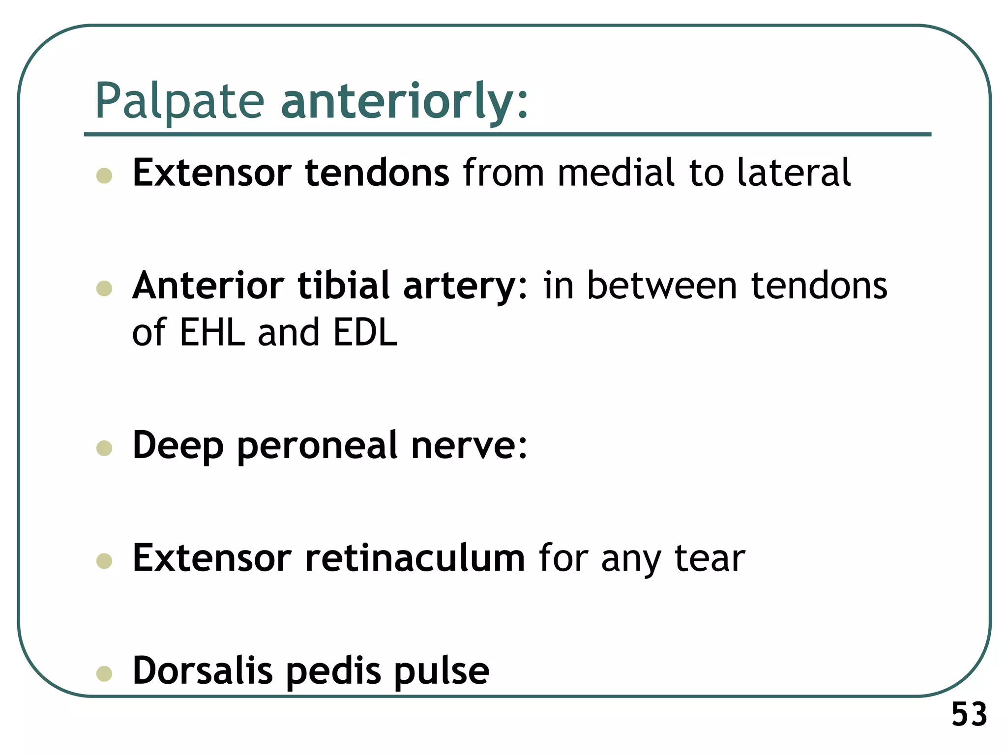 Palpate anteriorly:
 Extensor tendons from medial to lateral
 Anterior tibial artery: in between tendons
of EHL and EDL
 Deep peroneal nerve:
 Extensor retinaculum for any tear
 Dorsalis pedis pulse
53
 