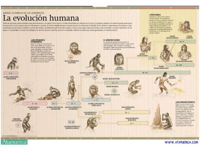 2. Origen del ser humano, las raíces de la civilización occidental