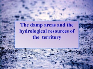 The damp areas and the
hydrological resources of
the territory
 