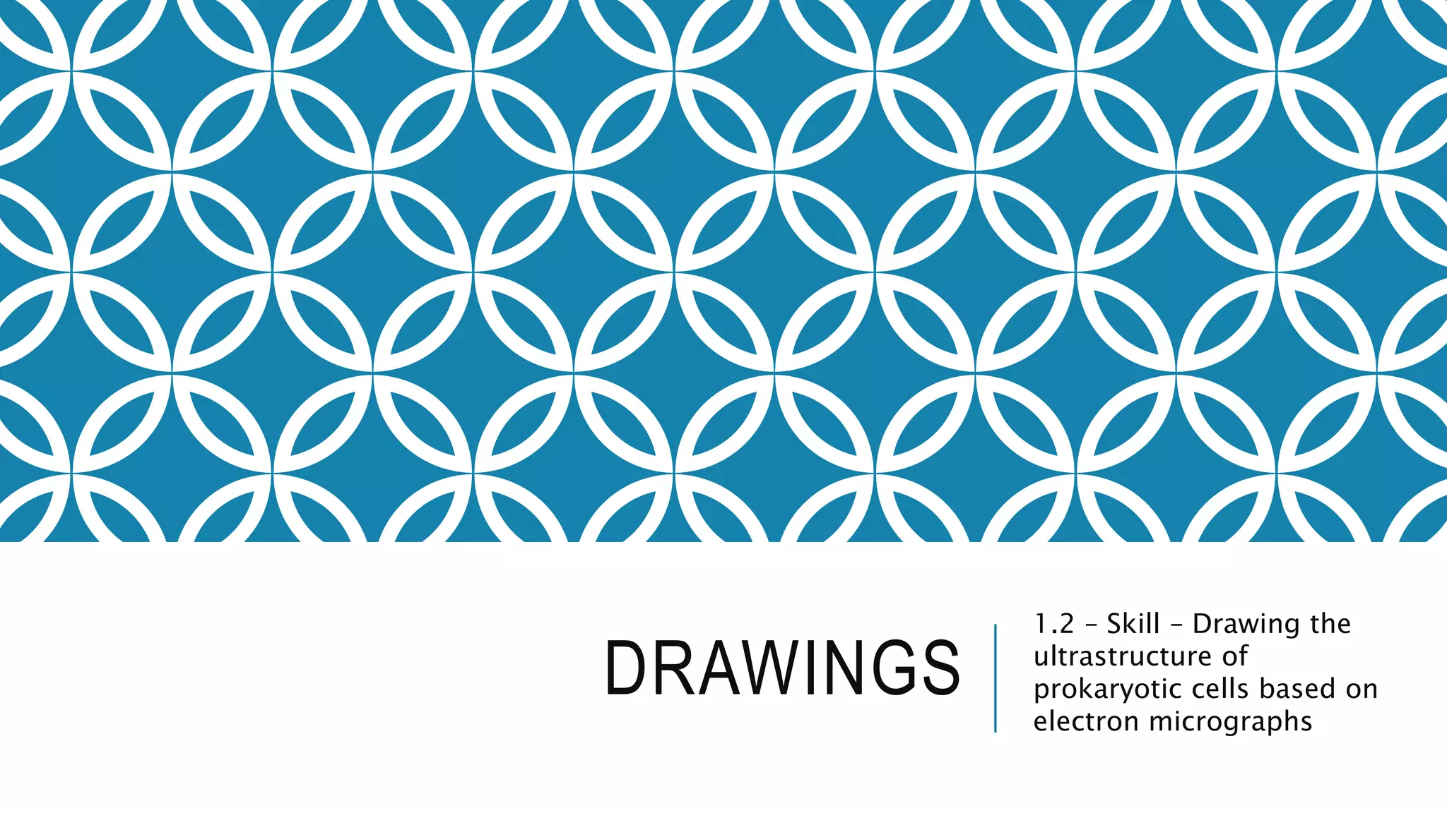 DRAWINGS
1.2 – Skill – Drawing the
ultrastructure of
prokaryotic cells based on
electron micrographs
 