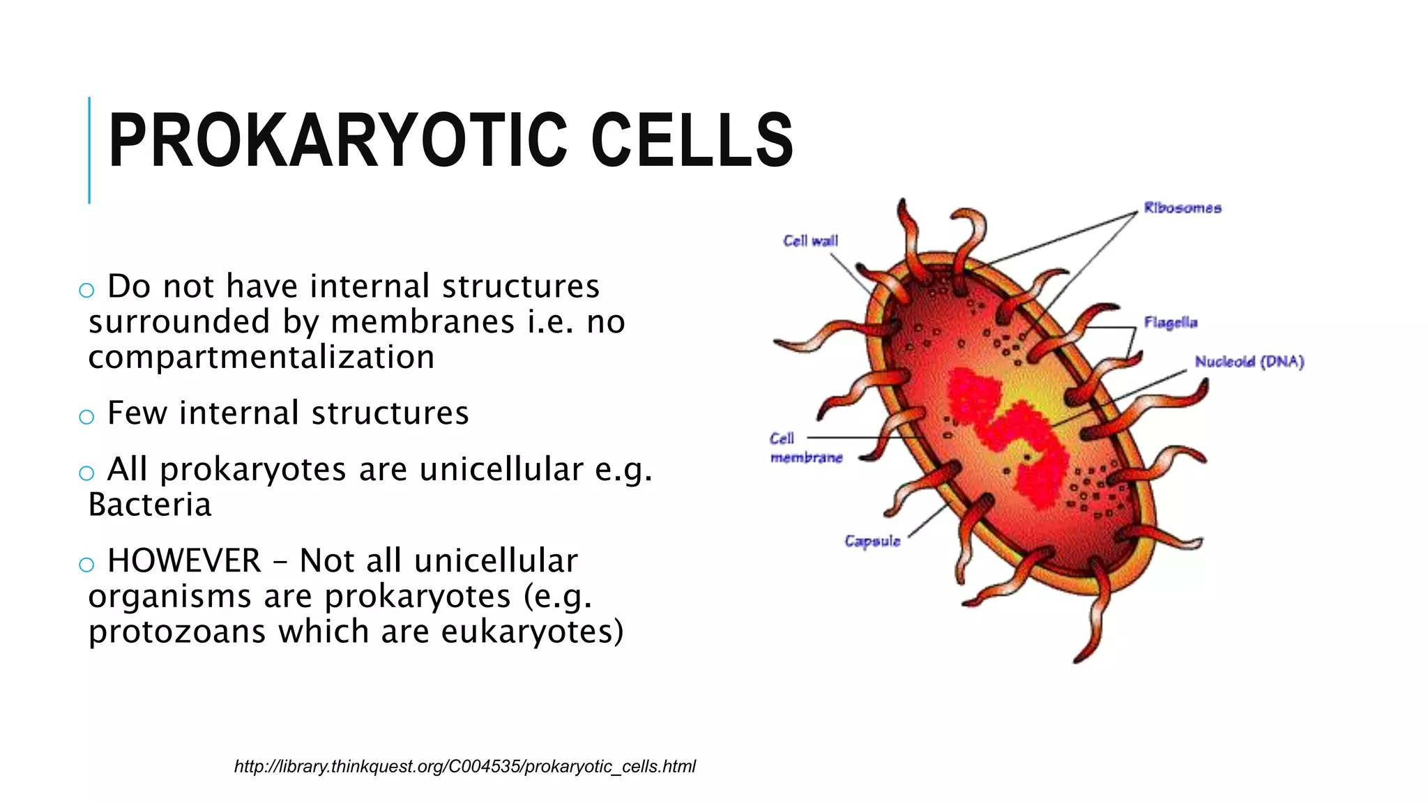 PROKARYOTIC CELLS
o Do not have internal structures
surrounded by membranes i.e. no
compartmentalization
o Few internal structures
o All prokaryotes are unicellular e.g.
Bacteria
o HOWEVER – Not all unicellular
organisms are prokaryotes (e.g.
protozoans which are eukaryotes)
http://library.thinkquest.org/C004535/prokaryotic_cells.html
 