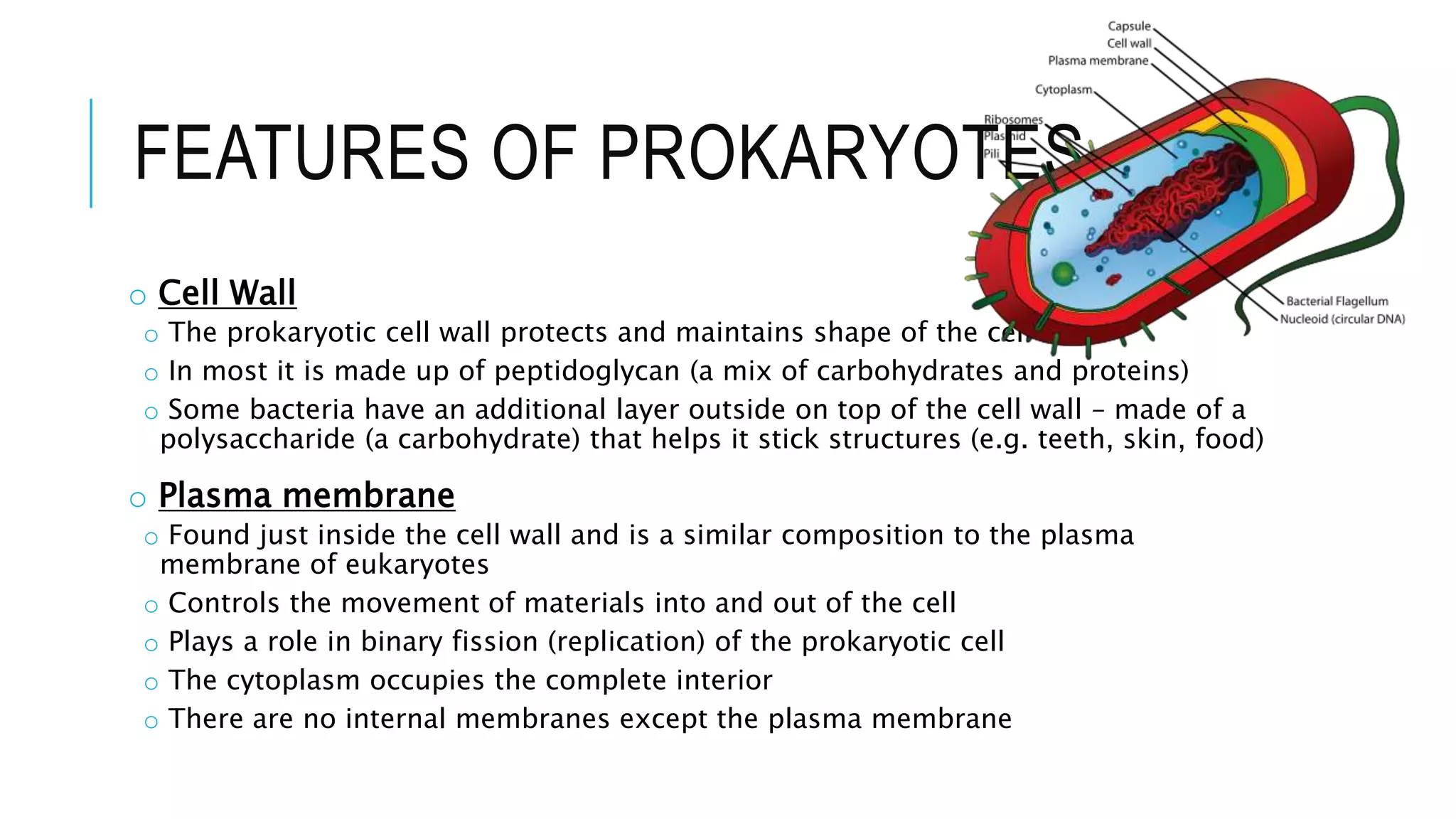 FEATURES OF PROKARYOTES
o Cell Wall
o The prokaryotic cell wall protects and maintains shape of the cell
o In most it is made up of peptidoglycan (a mix of carbohydrates and proteins)
o Some bacteria have an additional layer outside on top of the cell wall – made of a
polysaccharide (a carbohydrate) that helps it stick structures (e.g. teeth, skin, food)
o Plasma membrane
o Found just inside the cell wall and is a similar composition to the plasma
membrane of eukaryotes
o Controls the movement of materials into and out of the cell
o Plays a role in binary fission (replication) of the prokaryotic cell
o The cytoplasm occupies the complete interior
o There are no internal membranes except the plasma membrane
 
