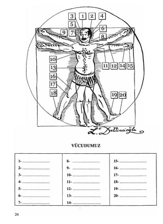 • •
VÜCUDUMUZ
24
 