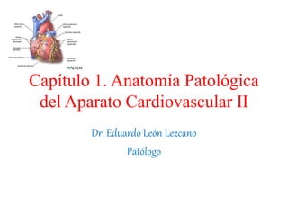 Capítulo 1. Anatomía Patológica
del Aparato Cardiovascular II
Dr. Eduardo León Lezcano
Patólogo
 