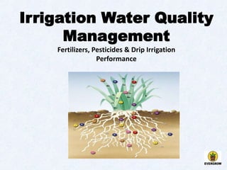Irrigation Water Quality | PPTX