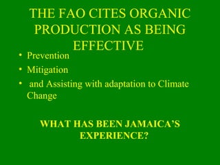 Evidence from the Field: Lessons from Jamaica's Organic Farms Slide 2