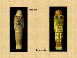 •Inner coffin
•Mummy
 