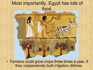 Most importantly, Egypt has lots of
food.
• Farmers could grow crops three times a year, if
they cooperatively built irrigation ditches.
 