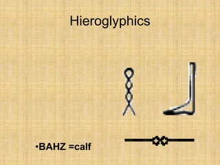Hieroglyphics
•BAHZ =calf
 