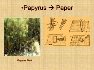 •Papyrus  Paper
•Papyrus Plant
 