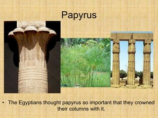 Papyrus
• The Egyptians thought papyrus so important that they crowned
their columns with it.
 