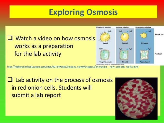 2 1 how to teach a concept e animation how osmosis works