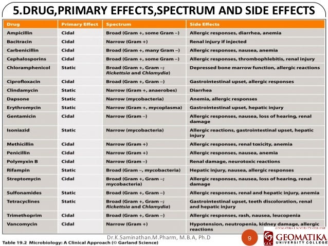 Amoxicillin Side Effects