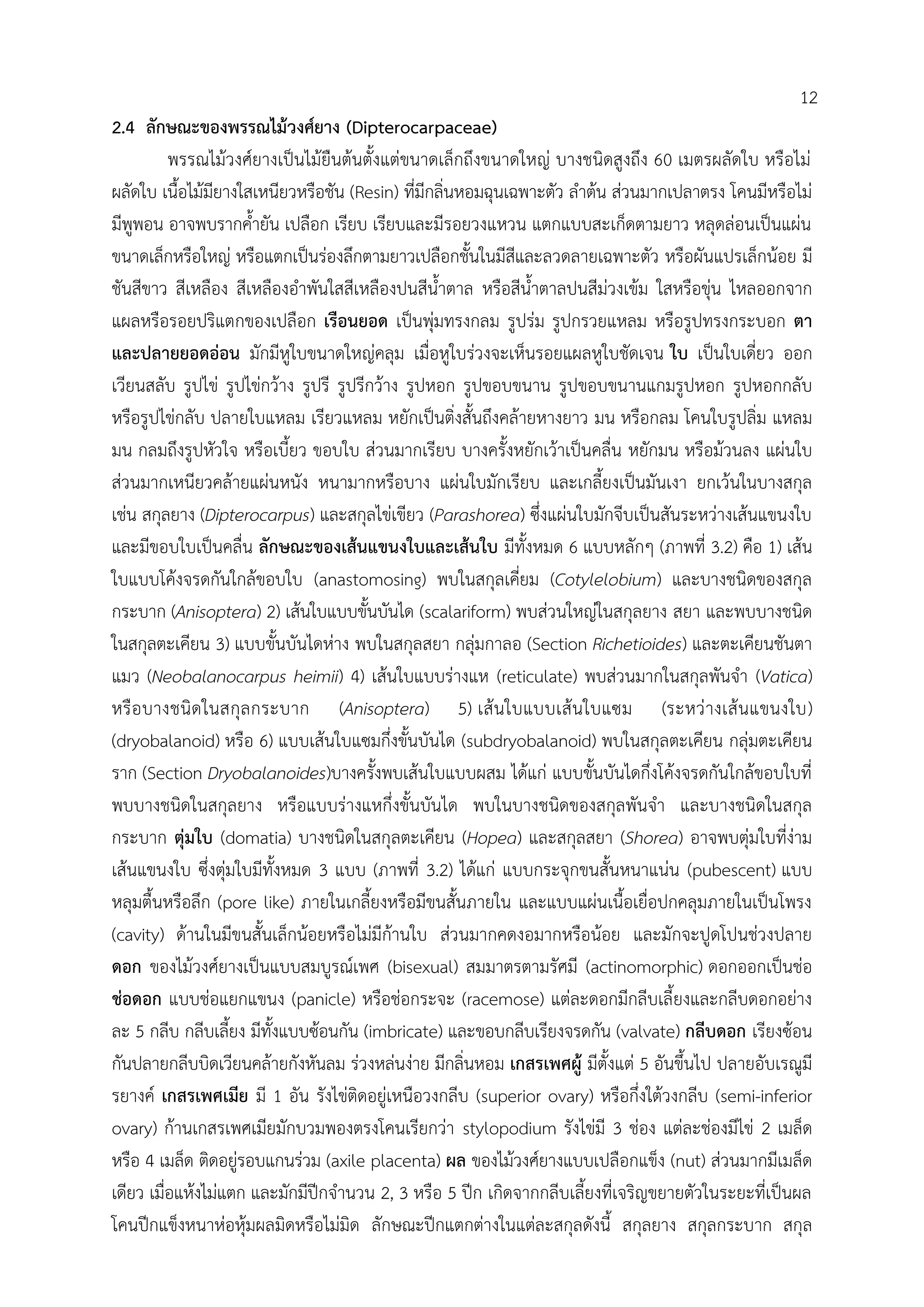 2.4 ลักษณะของพรรณไม้วงศ์ยาง (Dipterocarpaceae)
พรรณไม้วงศ์ยางเป็นไม้ยืนต้นตั้งแต่ขนาดเล็กถึงขนาดใหญ่ บางชนิดสูงถึง 60 เมตรผลัดใบ หรือไม่
ผลัดใบ เนื้อไม้มียางใสเหนียวหรือชัน (Resin) ที่มีกลิ่นหอมฉุนเฉพาะตัว ล้าต้น ส่วนมากเปลาตรง โคนมีหรือไม่
มีพูพอน อาจพบรากค้้ายัน เปลือก เรียบ เรียบและมีรอยวงแหวน แตกแบบสะเก็ดตามยาว หลุดล่อนเป็นแผ่น
ขนาดเล็กหรือใหญ่ หรือแตกเป็นร่องลึกตามยาวเปลือกชั้นในมีสีและลวดลายเฉพาะตัว หรือผันแปรเล็กน้อย มี
ชันสีขาว สีเหลือง สีเหลืองอ้าพันใสสีเหลืองปนสีน้้าตาล หรือสีน้้าตาลปนสีม่วงเข้ม ใสหรือขุ่น ไหลออกจาก
แผลหรือรอยปริแตกของเปลือก เรือนยอด เป็นพุ่มทรงกลม รูปร่ม รูปกรวยแหลม หรือรูปทรงกระบอก ตา
และปลายยอดอ่อน มักมีหูใบขนาดใหญ่คลุม เมื่อหูใบร่วงจะเห็นรอยแผลหูใบชัดเจน ใบ เป็นใบเดี่ยว ออก
เวียนสลับ รูปไข่ รูปไข่กว้าง รูปรี รูปรีกว้าง รูปหอก รูปขอบขนาน รูปขอบขนานแกมรูปหอก รูปหอกกลับ
หรือรูปไข่กลับ ปลายใบแหลม เรียวแหลม หยักเป็นติ่งสั้นถึงคล้ายหางยาว มน หรือกลม โคนใบรูปลิ่ม แหลม
มน กลมถึงรูปหัวใจ หรือเบี้ยว ขอบใบ ส่วนมากเรียบ บางครั้งหยักเว้าเป็นคลื่น หยักมน หรือม้วนลง แผ่นใบ
ส่วนมากเหนียวคล้ายแผ่นหนัง หนามากหรือบาง แผ่นใบมักเรียบ และเกลี้ยงเป็นมันเงา ยกเว้นในบางสกุล
เช่น สกุลยาง (Dipterocarpus) และสกุลไข่เขียว (Parashorea) ซึ่งแผ่นใบมักจีบเป็นสันระหว่างเส้นแขนงใบ
และมีขอบใบเป็นคลื่น ลักษณะของเส้นแขนงใบและเส้นใบ มีทั้งหมด 6 แบบหลักๆ (ภาพที่ 3.2) คือ 1) เส้น
ใบแบบโค้งจรดกันใกล้ขอบใบ (anastomosing) พบในสกุลเคี่ยม (Cotylelobium) และบางชนิดของสกุล
กระบาก (Anisoptera) 2) เส้นใบแบบขั้นบันได (scalariform) พบส่วนใหญ่ในสกุลยาง สยา และพบบางชนิด
ในสกุลตะเคียน 3) แบบขั้นบันไดห่าง พบในสกุลสยา กลุ่มกาลอ (Section Richetioides) และตะเคียนชันตา
แมว (Neobalanocarpus heimii) 4) เส้นใบแบบร่างแห (reticulate) พบส่วนมากในสกุลพันจ้า (Vatica)
หรือบางชนิดในสกุลกระบาก (Anisoptera) 5) เส้นใบแบบเส้นใบแซม (ระหว่างเส้นแขนงใบ)
(dryobalanoid) หรือ 6) แบบเส้นใบแซมกึ่งขั้นบันได (subdryobalanoid) พบในสกุลตะเคียน กลุ่มตะเคียน
ราก (Section Dryobalanoides)บางครั้งพบเส้นใบแบบผสม ได้แก่ แบบขั้นบันไดกึ่งโค้งจรดกันใกล้ขอบใบที่
พบบางชนิดในสกุลยาง หรือแบบร่างแหกึ่งขั้นบันได พบในบางชนิดของสกุลพันจ้า และบางชนิดในสกุล
กระบาก ตุ่มใบ (domatia) บางชนิดในสกุลตะเคียน (Hopea) และสกุลสยา (Shorea) อาจพบตุ่มใบที่ง่าม
เส้นแขนงใบ ซึ่งตุ่มใบมีทั้งหมด 3 แบบ (ภาพที่ 3.2) ได้แก่ แบบกระจุกขนสั้นหนาแน่น (pubescent) แบบ
หลุมตื้นหรือลึก (pore like) ภายในเกลี้ยงหรือมีขนสั้นภายใน และแบบแผ่นเนื้อเยื่อปกคลุมภายในเป็นโพรง
(cavity) ด้านในมีขนสั้นเล็กน้อยหรือไม่มีก้านใบ ส่วนมากคดงอมากหรือน้อย และมักจะปูดโปนช่วงปลาย
ดอก ของไม้วงศ์ยางเป็นแบบสมบูรณ์เพศ (bisexual) สมมาตรตามรัศมี (actinomorphic) ดอกออกเป็นช่อ
ช่อดอก แบบช่อแยกแขนง (panicle) หรือช่อกระจะ (racemose) แต่ละดอกมีกลีบเลี้ยงและกลีบดอกอย่าง
ละ 5 กลีบ กลีบเลี้ยง มีทั้งแบบซ้อนกัน (imbricate) และขอบกลีบเรียงจรดกัน (valvate) กลีบดอก เรียงซ้อน
กันปลายกลีบบิดเวียนคล้ายกังหันลม ร่วงหล่นง่าย มีกลิ่นหอม เกสรเพศผู้ มีตั้งแต่ 5 อันขึ้นไป ปลายอับเรณูมี
รยางค์ เกสรเพศเมีย มี 1 อัน รังไข่ติดอยู่เหนือวงกลีบ (superior ovary) หรือกึ่งใต้วงกลีบ (semi-inferior
ovary) ก้านเกสรเพศเมียมักบวมพองตรงโคนเรียกว่า stylopodium รังไข่มี 3 ช่อง แต่ละช่องมีไข่ 2 เมล็ด
หรือ 4 เมล็ด ติดอยู่รอบแกนร่วม (axile placenta) ผล ของไม้วงศ์ยางแบบเปลือกแข็ง (nut) ส่วนมากมีเมล็ด
เดียว เมื่อแห้งไม่แตก และมักมีปีกจ้านวน 2, 3 หรือ 5 ปีก เกิดจากกลีบเลี้ยงที่เจริญขยายตัวในระยะที่เป็นผล
โคนปีกแข็งหนาห่อหุ้มผลมิดหรือไม่มิด ลักษณะปีกแตกต่างในแต่ละสกุลดังนี้ สกุลยาง สกุลกระบาก สกุล
12
 