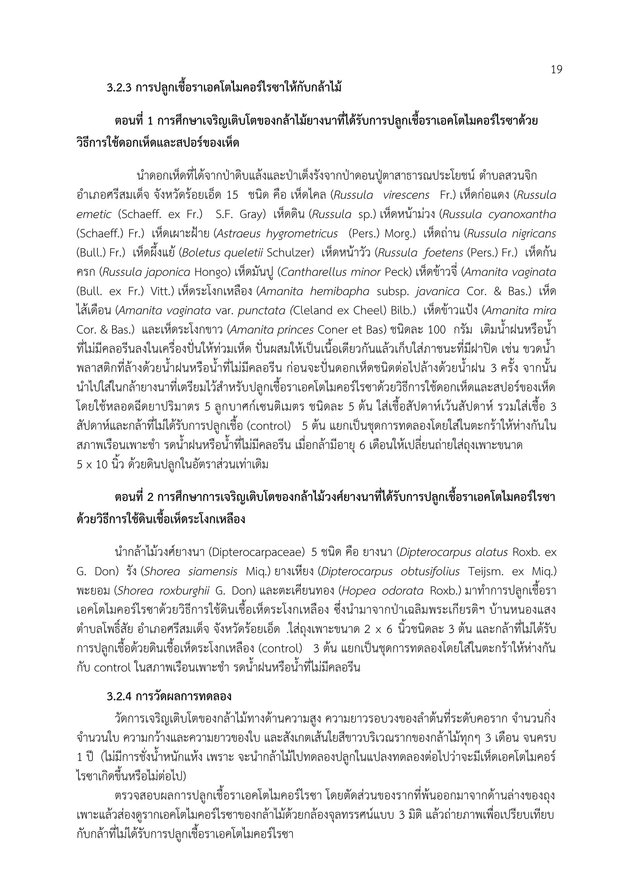 3.2.3 การปลูกเชื้อราเอคโตไมคอร์ไรซาให้กับกล้าไม้
ตอนที่ 1 การศึกษาเจริญเติบโตของกล้าไม้ยางนาที่ได้รับการปลูกเชื้อราเอคโตไมคอร์ไรซาด้วย
วิธีการใช้ดอกเห็ดและสปอร์ของเห็ด
น้าดอกเห็ดที่ได้จากปุาดิบแล้งและปุาเต็งรังจากปุาดอนปูุตาสาธารณประโยชน์ ต้าบลสวนจิก
อ้าเภอศรีสมเด็จ จังหวัดร้อยเอ็ด 15 ชนิด คือ เห็ดไคล (Russula virescens Fr.) เห็ดก่อแดง (Russula
emetic (Schaeff. ex Fr.) S.F. Gray) เห็ดดิน (Russula sp.) เห็ดหน้าม่วง (Russula cyanoxantha
(Schaeff.) Fr.) เห็ดเผาะฝูาย (Astraeus hygrometricus (Pers.) Morg.) เห็ดถ่าน (Russula nigricans
(Bull.) Fr.) เห็ดผึ้งแย้ (Boletus queletii Schulzer) เห็ดหน้าวัว (Russula foetens (Pers.) Fr.) เห็ดก้น
ครก (Russula japonica Hongo) เห็ดมันปู (Cantharellus minor Peck) เห็ดข้าวจี่ (Amanita vaginata
(Bull. ex Fr.) Vitt.) เห็ดระโงกเหลือง (Amanita hemibapha subsp. javanica Cor. & Bas.) เห็ด
ไส้เดือน (Amanita vaginata var. punctata (Cleland ex Cheel) Bilb.) เห็ดข้าวแปูง (Amanita mira
Cor. & Bas.) และเห็ดระโงกขาว (Amanita princes Coner et Bas) ชนิดละ 100 กรัม เติมน้้าฝนหรือน้้า
ที่ไม่มีคลอรีนลงในเครื่องปั่นให้ท่วมเห็ด ปั่นผสมให้เป็นเนื้อเดียวกันแล้วเก็บใส่ภาชนะที่มีฝาปิด เช่น ขวดน้้า
พลาสติกที่ล้างด้วยน้้าฝนหรือน้้าที่ไม่มีคลอรีน ก่อนจะปั่นดอกเห็ดชนิดต่อไปล้างด้วยน้้าฝน 3 ครั้ง จากนั้น
น้าไปใส่ในกล้ายางนาที่เตรียมไว้ส้าหรับปลูกเชื้อราเอคโตไมคอร์ไรซาด้วยวิธีการใช้ดอกเห็ดและสปอร์ของเห็ด
โดยใช้หลอดฉีดยาปริมาตร 5 ลูกบาศก์เซนติเมตร ชนิดละ 5 ต้น ใส่เชื้อสัปดาห์เว้นสัปดาห์ รวมใส่เชื้อ 3
สัปดาห์และกล้าที่ไม่ได้รับการปลูกเชื้อ (control) 5 ต้น แยกเป็นชุดการทดลองโดยใส่ในตะกร้าให้ห่างกันใน
สภาพเรือนเพาะช้า รดน้้าฝนหรือน้้าที่ไม่มีคลอรีน เมื่อกล้ามีอายุ 6 เดือนให้เปลี่ยนถ่ายใส่ถุงเพาะขนาด
5 x 10 นิ้ว ด้วยดินปลูกในอัตราส่วนเท่าเดิม
ตอนที่ 2 การศึกษาการเจริญเติบโตของกล้าไม้วงศ์ยางนาที่ได้รับการปลูกเชื้อราเอคโตไมคอร์ไรซา
ด้วยวิธีการใช้ดินเชื้อเห็ดระโงกเหลือง
น้ากล้าไม้วงศ์ยางนา (Dipterocarpaceae) 5 ชนิด คือ ยางนา (Dipterocarpus alatus Roxb. ex
G. Don) รัง (Shorea siamensis Miq.) ยางเหียง (Dipterocarpus obtusifolius Teijsm. ex Miq.)
พะยอม (Shorea roxburghii G. Don) และตะเคียนทอง (Hopea odorata Roxb.) มาท้าการปลูกเชื้อรา
เอคโตไมคอร์ไรซาด้วยวิธีการใช้ดินเชื้อเห็ดระโงกเหลือง ซึ่งน้ามาจากปุาเฉลิมพระเกียรติฯ บ้านหนองแสง
ต้าบลโพธิ์สัย อ้าเภอศรีสมเด็จ จังหวัดร้อยเอ็ด .ใส่ถุงเพาะขนาด 2 x 6 นิ้วชนิดละ 3 ต้น และกล้าที่ไม่ได้รับ
การปลูกเชื้อด้วยดินเชื้อเห็ดระโงกเหลือง (control) 3 ต้น แยกเป็นชุดการทดลองโดยใส่ในตะกร้าให้ห่างกัน
กับ control ในสภาพเรือนเพาะช้า รดน้้าฝนหรือน้้าที่ไม่มีคลอรีน
3.2.4 การวัดผลการทดลอง
วัดการเจริญเติบโตของกล้าไม้ทางด้านความสูง ความยาวรอบวงของล้าต้นที่ระดับคอราก จ้านวนกิ่ง
จ้านวนใบ ความกว้างและความยาวของใบ และสังเกตเส้นใยสีขาวบริเวณรากของกล้าไม้ทุกๆ 3 เดือน จนครบ
1 ปี (ไม่มีการชั่งน้้าหนักแห้ง เพราะ จะน้ากล้าไม้ไปทดลองปลูกในแปลงทดลองต่อไปว่าจะมีเห็ดเอคโตไมคอร์
ไรซาเกิดขึ้นหรือไม่ต่อไป)
ตรวจสอบผลการปลูกเชื้อราเอคโตไมคอร์ไรซา โดยตัดส่วนของรากที่พ้นออกมาจากด้านล่างของถุง
เพาะแล้วส่องดูรากเอคโตไมคอร์ไรซาของกล้าไม้ด้วยกล้องจุลทรรศน์แบบ 3 มิติ แล้วถ่ายภาพเพื่อเปรียบเทียบ
กับกล้าที่ไม่ได้รับการปลูกเชื้อราเอคโตไมคอร์ไรซา
19
 
