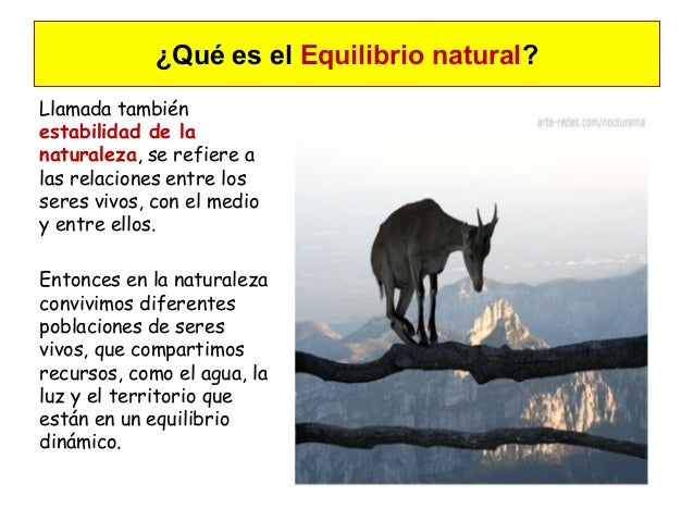 2 Interaccion Entre Seres Vivos Cadena Trofica Ciclo Biogeoquimico