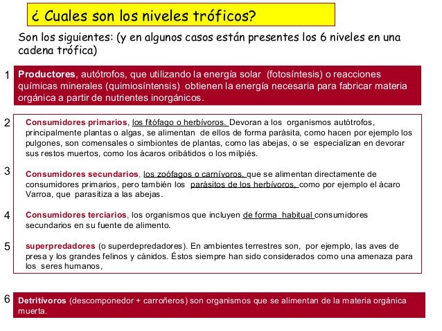 Resultado de imagen de FUNCION TROFICA SERES VIVOS EN EL MEDIO
