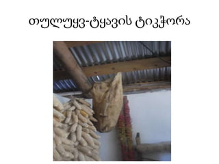 თულუყვ-ტყავის ტიკჭორა
 