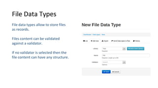File Data Types
File data types allow to store files
as records.
Files content can be validated
against a validator.
If no validator is selected then the
file content can have any structure.
 