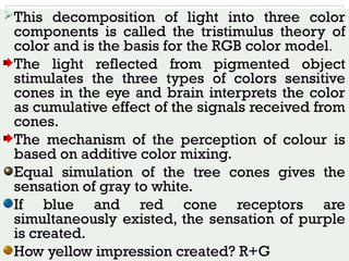 Color Mechanism 2. fundamentals of color | PPT