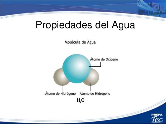 Propiedades O Caracteristicas De La Estructura Molecular