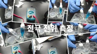전극 전위 측정
 