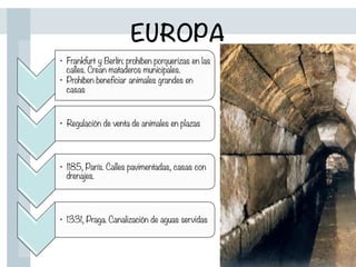 EUROPA
•  Frankfurt y Berlín: prohíben porquerizas en las
calles. Crean mataderos municipales.
•  Prohíben beneficiar animales grandes en
casas
•  Regulación de venta de animales en plazas
•  1185, París. Calles pavimentadas, casas con
drenajes.
•  1331, Praga. Canalización de aguas servidas
 