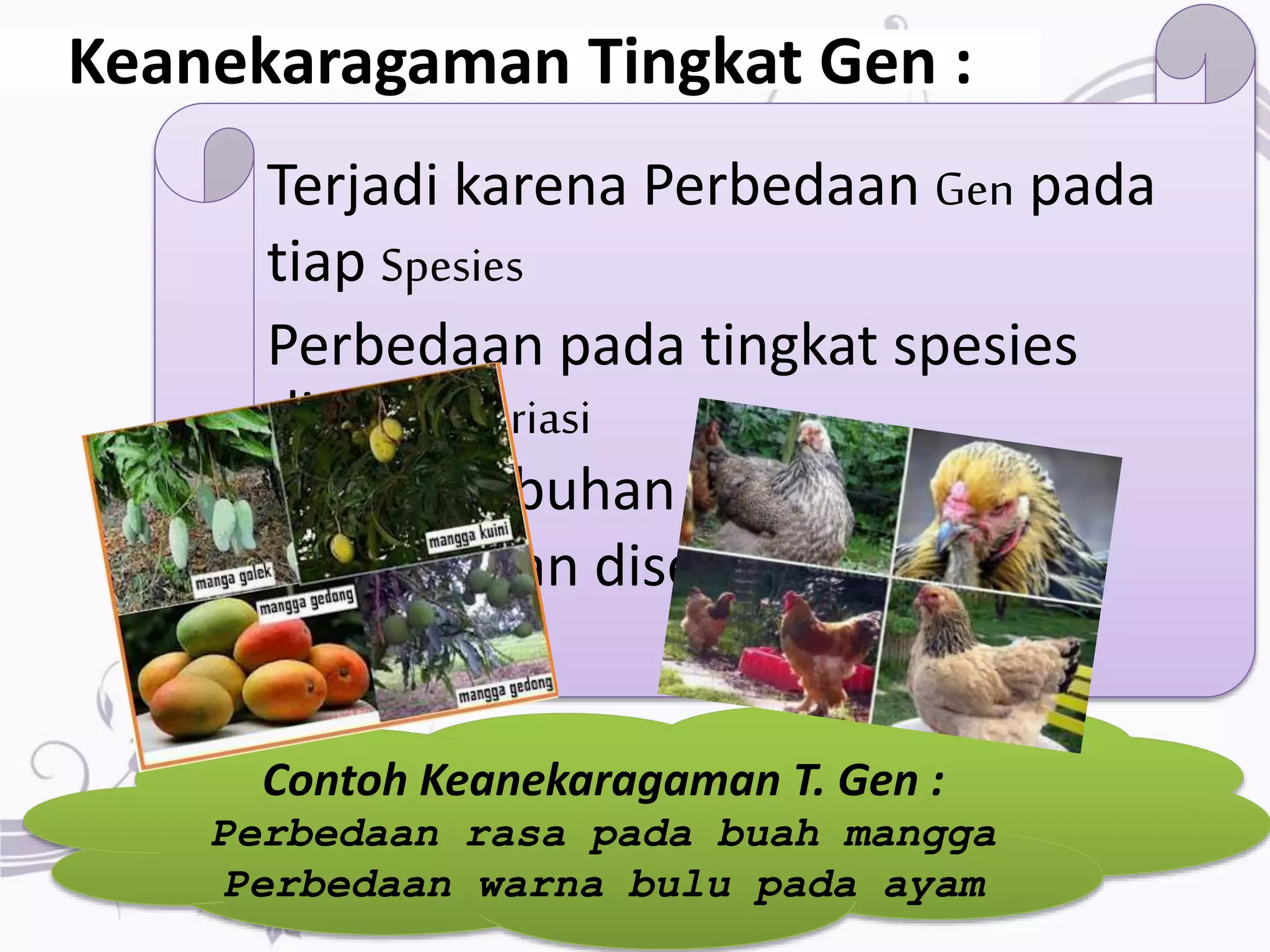 keanekaragaman hayati | PPTX
