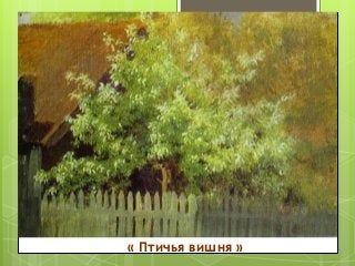 « Птичья вишня »
 