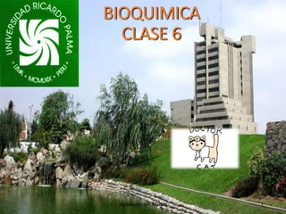 BIOQUIMICA
CLASE 6
digitalizado por Melilds 1
 