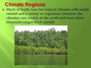  Much of South Asia has tropical climates with ample
rainfall and a variety of vegetation; however, the
climates vary widely in the north and west where
mountain ranges block rainfall.
 