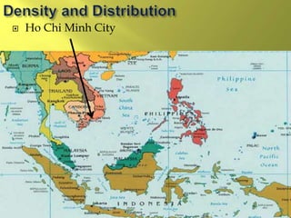  Ho Chi Minh City
 