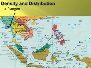  Yangon
 