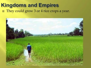  They could grow 3 or 4 rice crops a year.
 