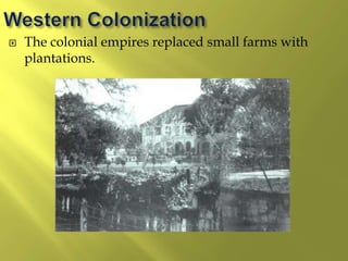  The colonial empires replaced small farms with
plantations.
 