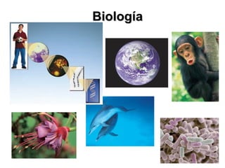 BiologíaBiología
 
