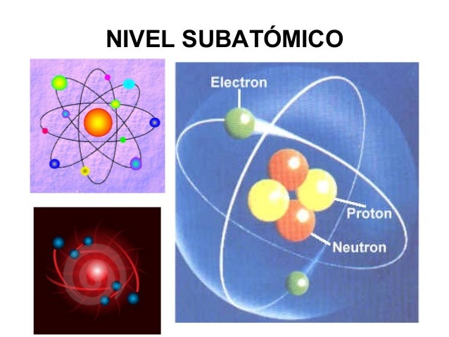 Biología y niveles de organizacion