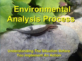 EnvironmentalEnvironmental
AnalysisAnalysis ProcessProcess
Understanding The Situation BeforeUnderstanding The Situation Before
You Implement An ActionYou Implement An Action
 
