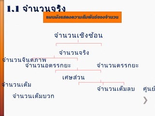 จำำนวนเชิงซ้อน
จำำนวนจริง
จำำนวนจินตภำพ
จำำนวนอตรรกยะ จำำนวนตรรกยะ
เศษส่วน
จำำนวนเต็ม
จำำนวนเต็มลบ ศูนย
จำำนวนเต็มบวก
1.11.1 จำำนวนจริงจำำนวนจริง
 
