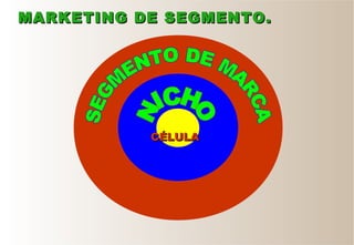 CÉLULACÉLULA
MARKETING DE SEGMENTO.MARKETING DE SEGMENTO.
 