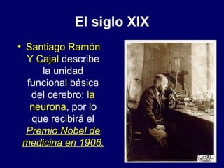 El siglo XIX
• Santiago Ramón
Y Cajal describe
la unidad
funcional básica
del cerebro: la
neurona, por lo
que recibirá el
...