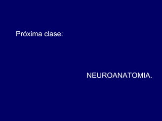 Próxima clase:
NEUROANATOMIA.
 
